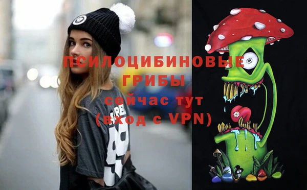кокс Белокуриха