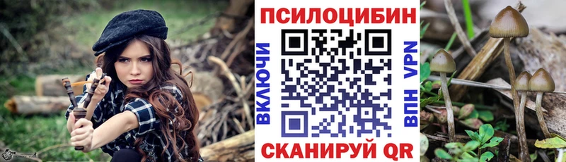 гидра ТОР  купить закладку  Невель  Псилоцибиновые грибы ЛСД 